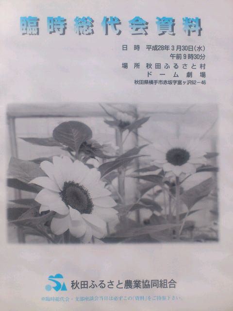 e0317698_911642.jpg