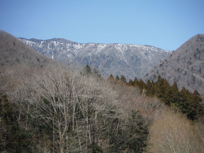 b0172805_1591978.jpg