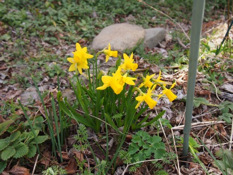 c0117007_22384653.jpg