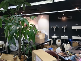 d0091909_1350346.jpg