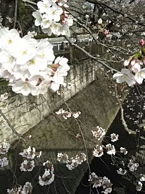 f0235318_16030755.jpg