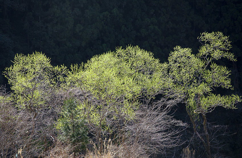 d0147530_07551979.jpg