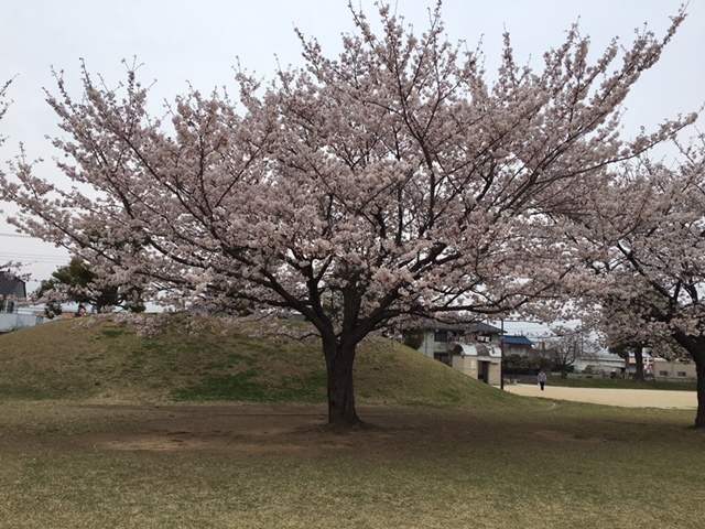 f0332332_21371328.jpg