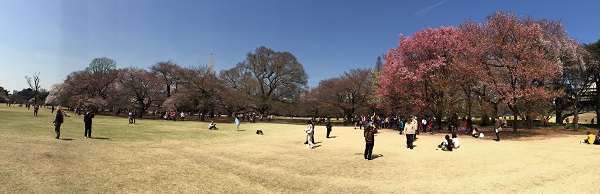 d0164636_9562837.jpg