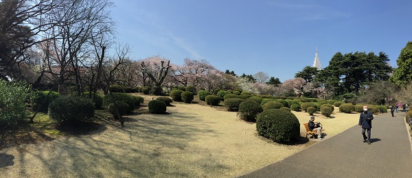 d0164636_9581627.jpg