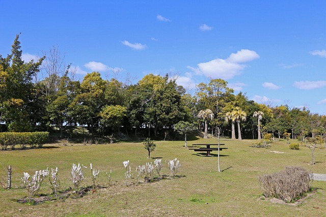 a0242438_2038386.jpg