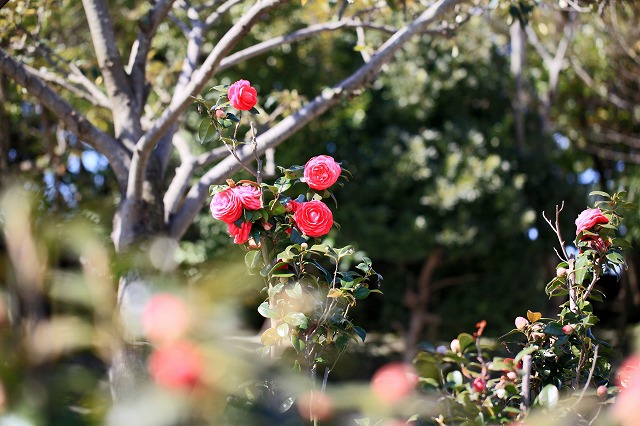 a0242438_20392087.jpg