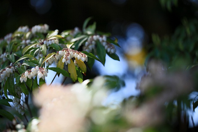 a0242438_2040366.jpg