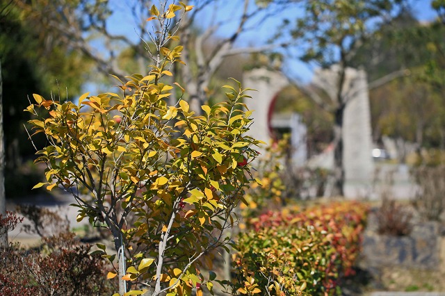 a0242438_20404932.jpg
