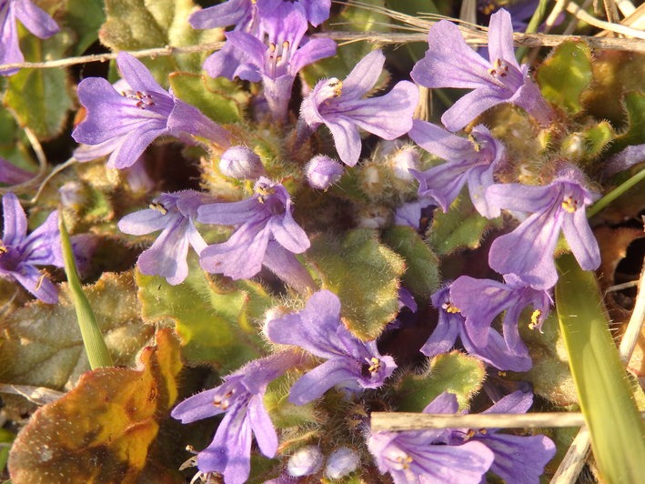 a0054240_21292766.jpg