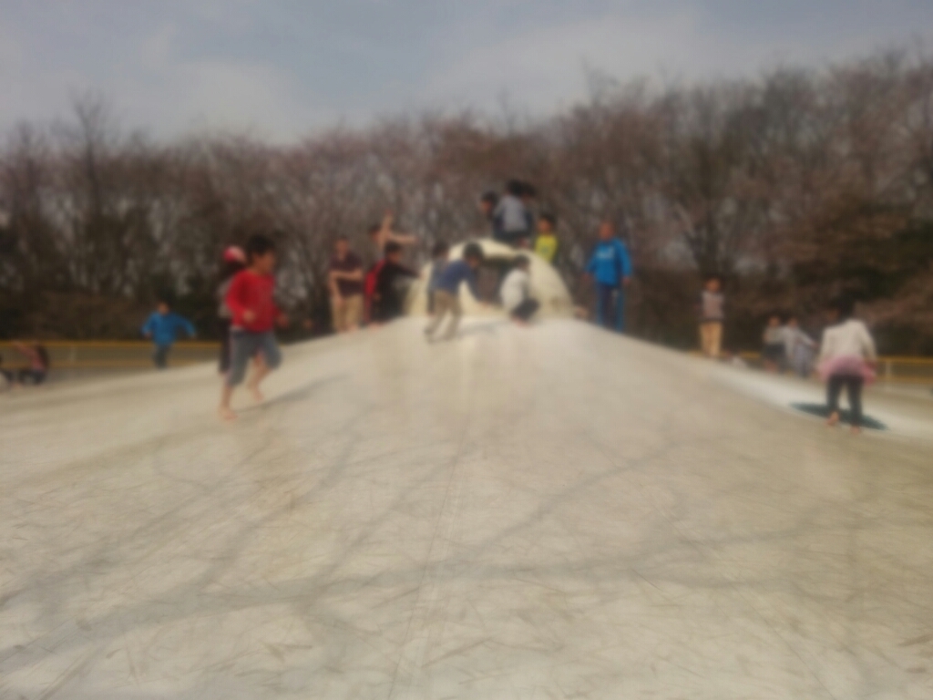 c0335540_18452228.jpg
