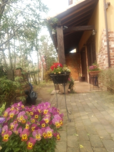 c0335540_18452872.jpg