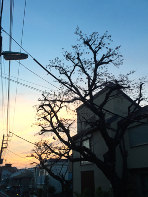 f0141840_01351457.jpg