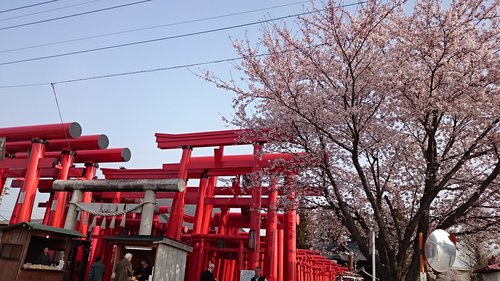 e0150849_1044722.jpg