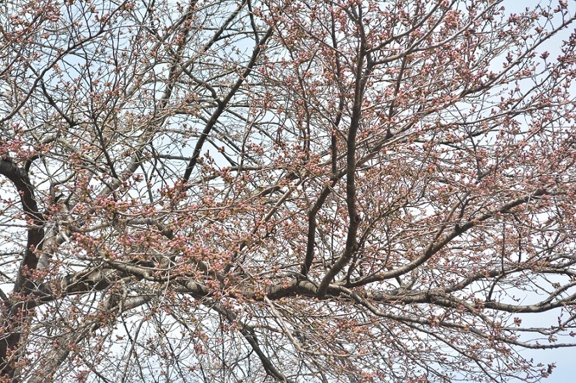 a0055650_15521351.jpg