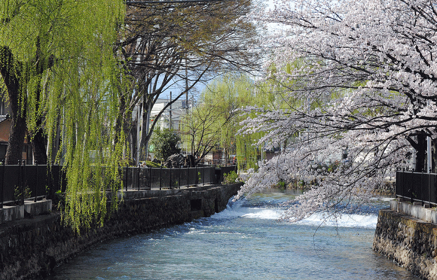 a0001354_23302515.gif