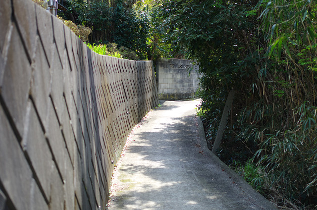 c0080357_23174814.jpg