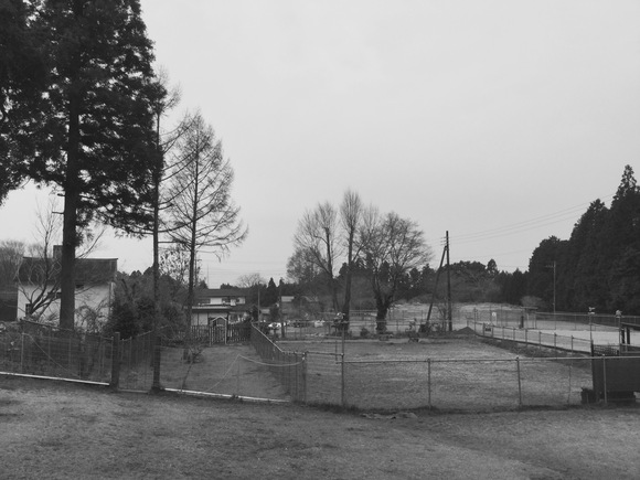 c0260264_12501148.jpg