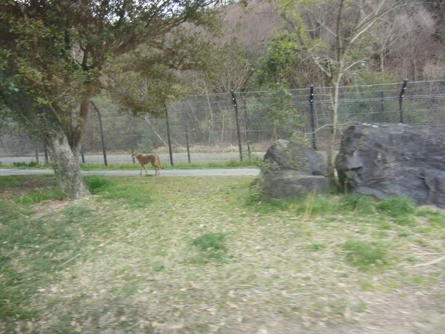 e0187064_1781533.jpg