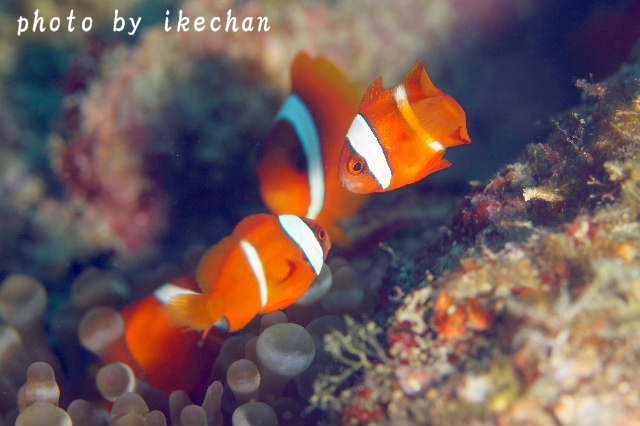 a0155467_19215941.jpg