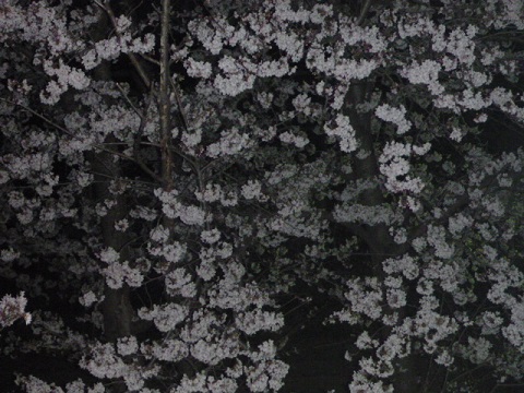 e0161972_12432543.jpg