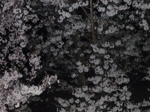 e0161972_124346.jpg
