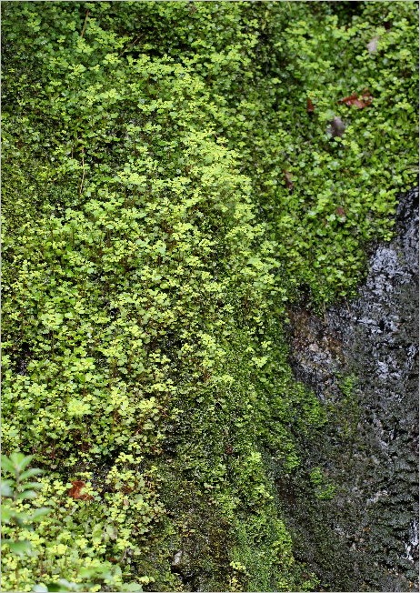 f0181173_19494542.jpg