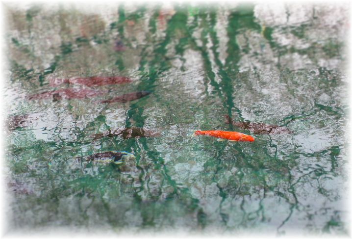 d0175974_19504082.jpg