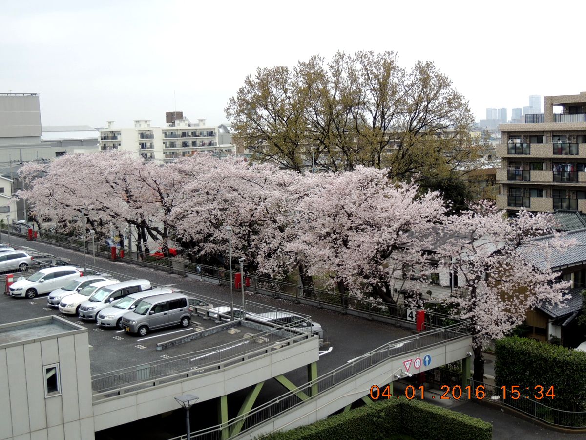 f0104277_1953563.jpg