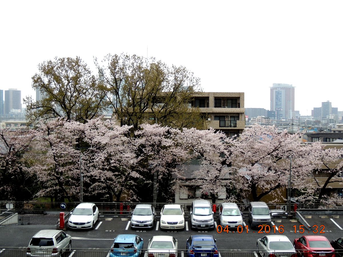 f0104277_19541875.jpg