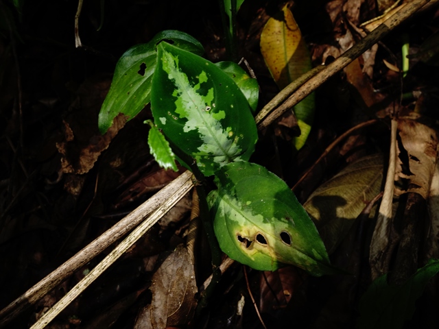 a0067578_20551560.jpg