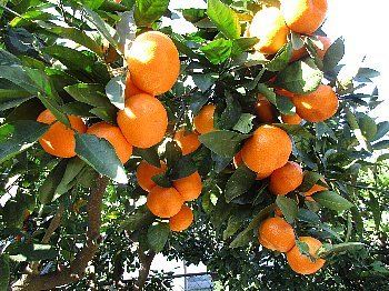 f0003283_05124121.jpg