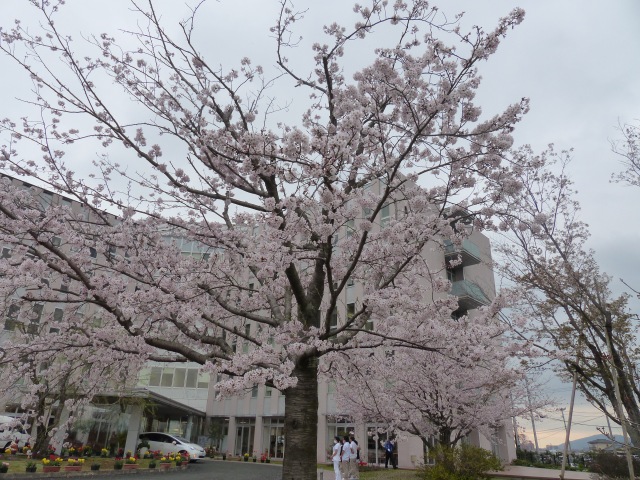 f0357487_20352579.jpg