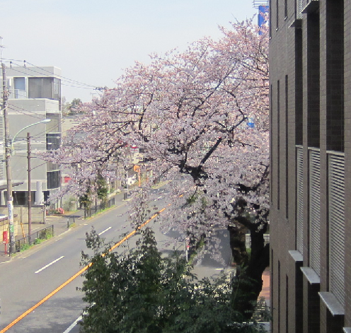 f0234590_1785313.png