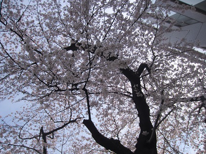 f0234590_1785822.jpg