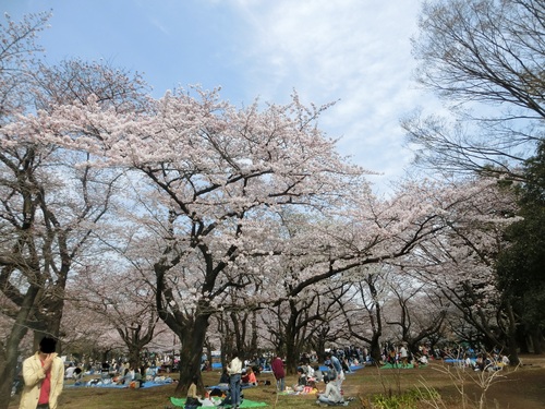 a0319693_842270.jpg
