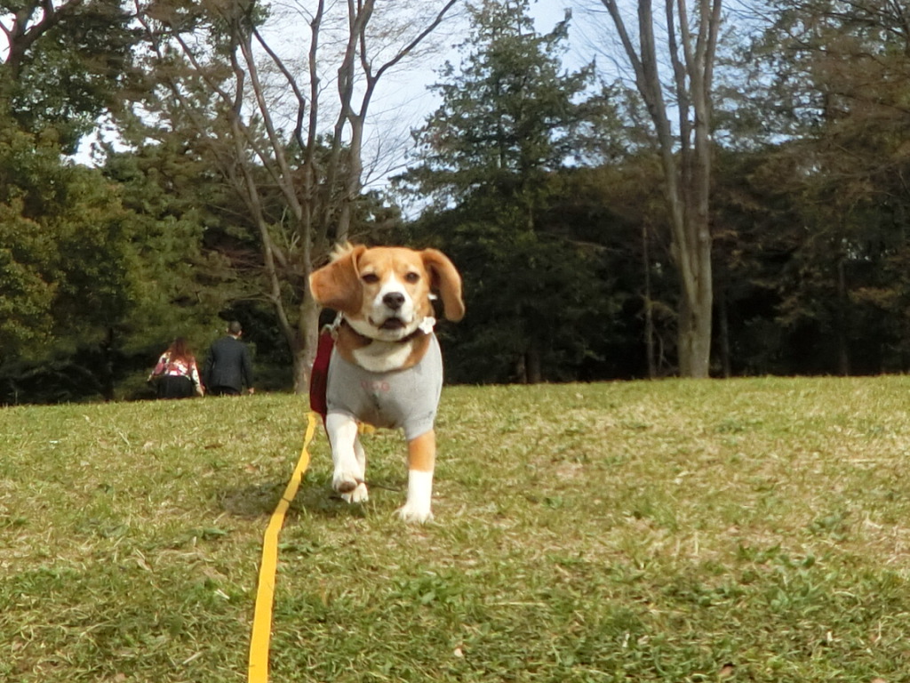 a0319693_985310.jpg
