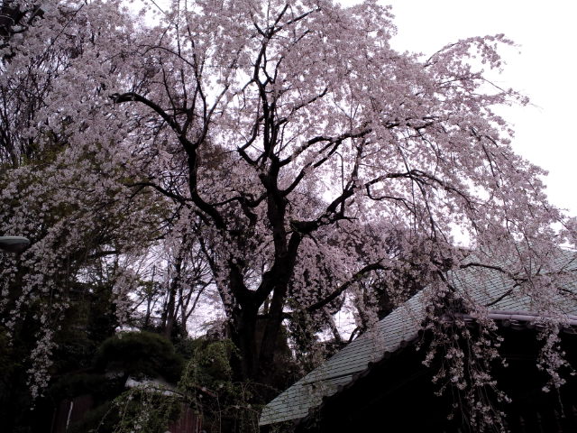 f0042295_20392513.jpg