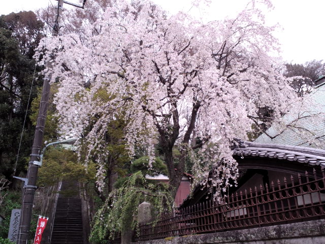 f0042295_20392520.jpg