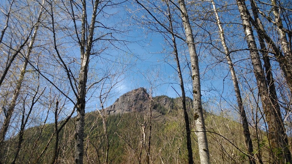 c0354303_07362392.jpg