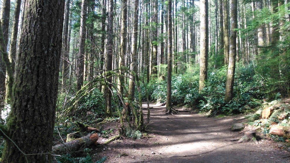c0354303_07402044.jpg
