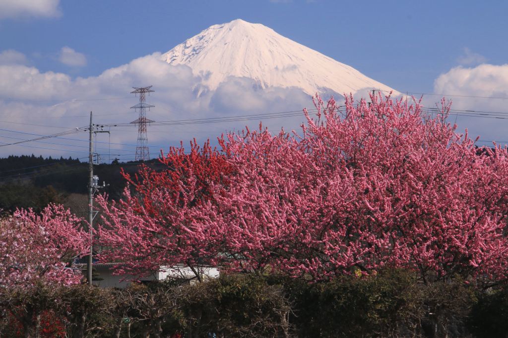 a0188405_10282166.jpg