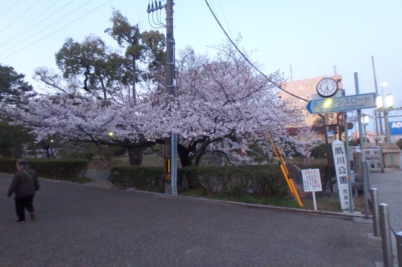 e0077517_12304430.jpeg