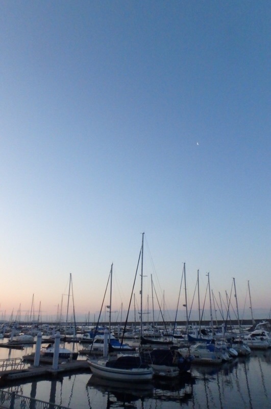 e0077517_12313613.jpeg
