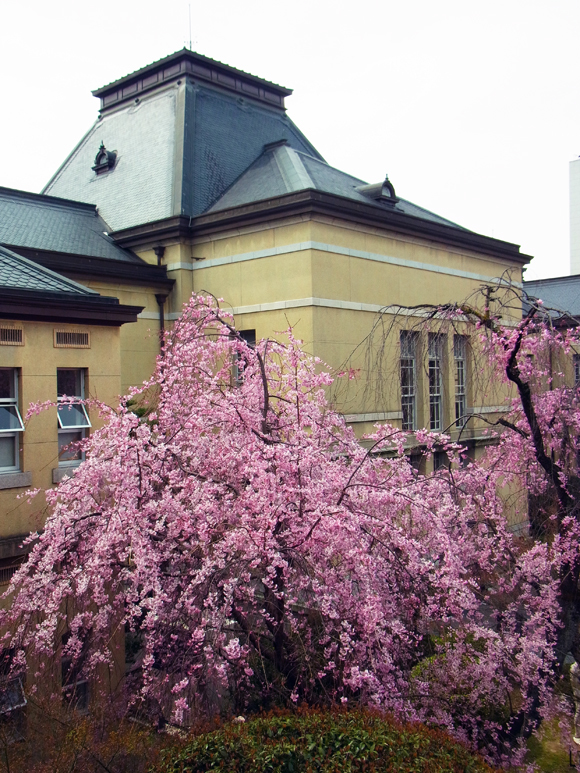 e0083517_07541690.jpg