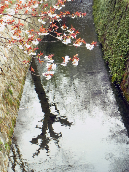 e0083517_07573335.jpg