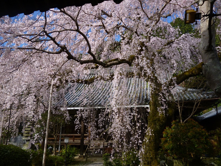f0228619_21233894.jpg