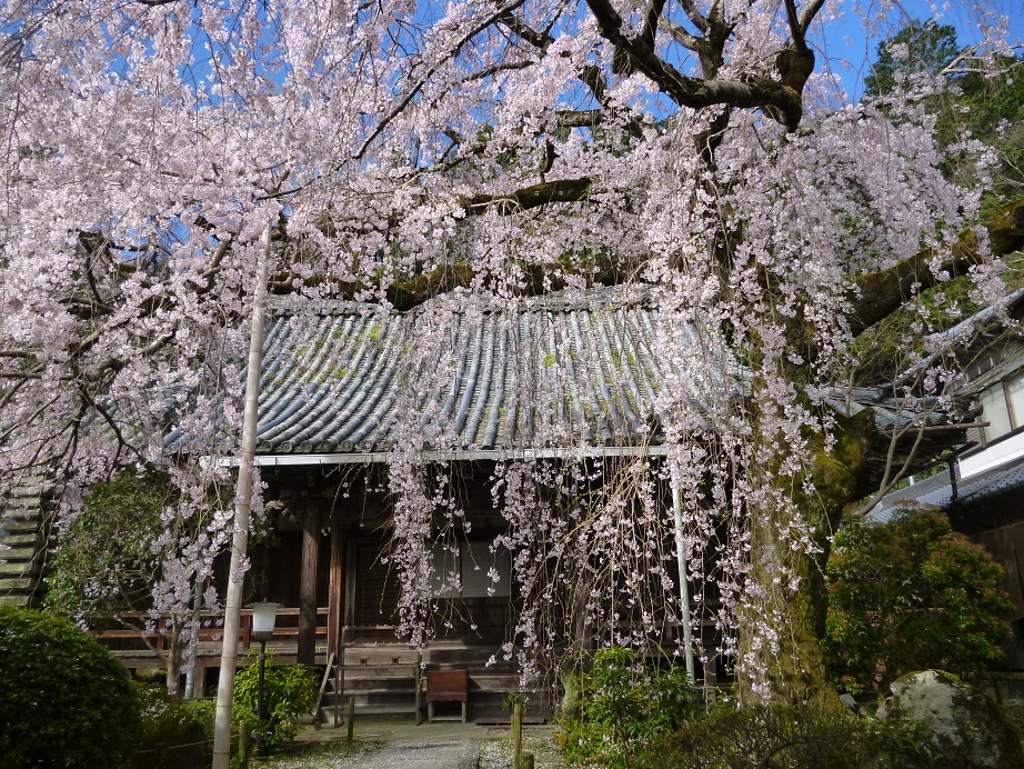f0228619_21242968.jpg