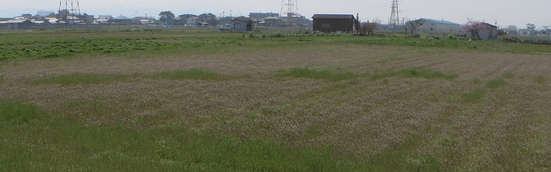 c0280322_23331810.jpg