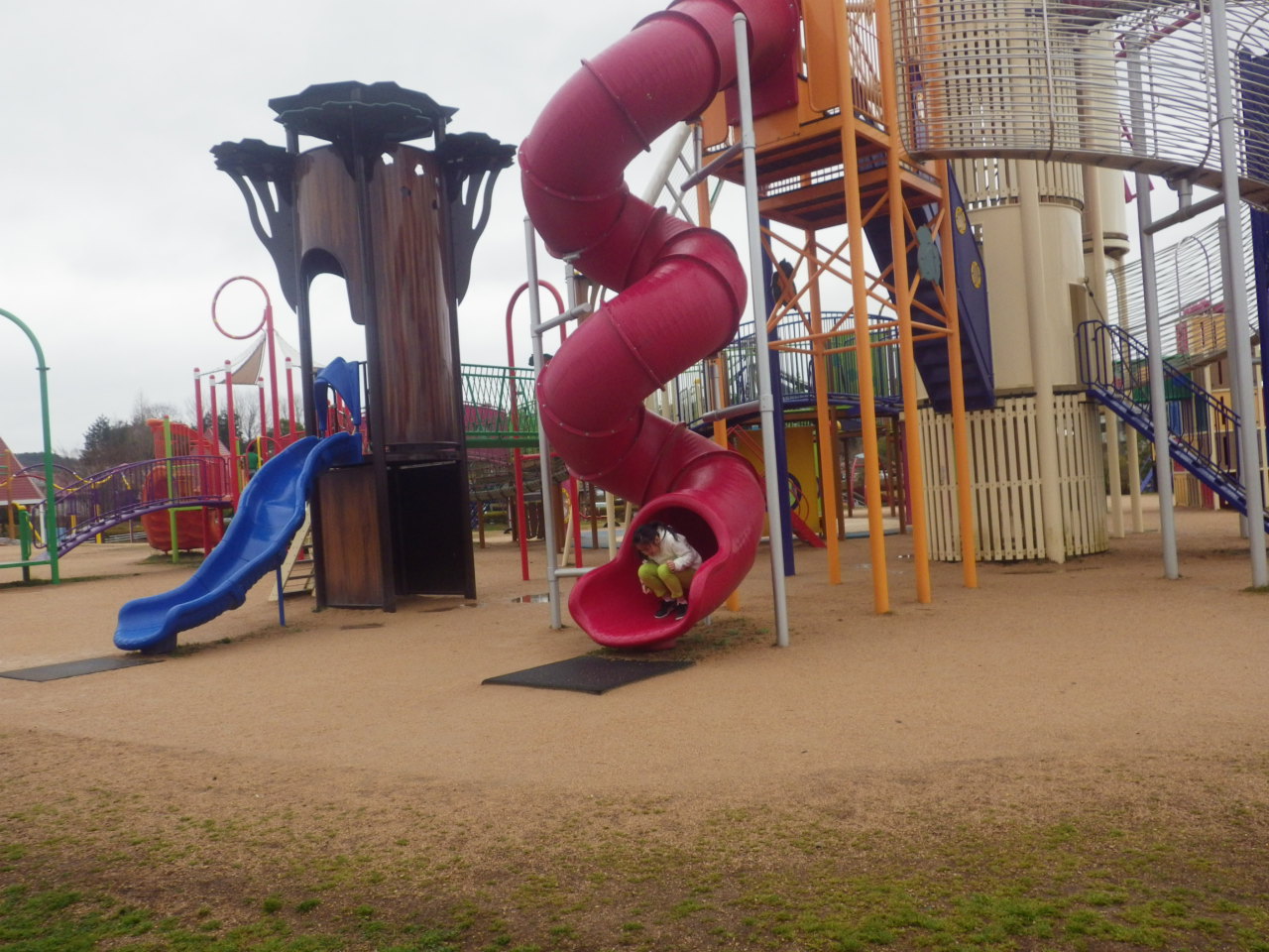 c0300035_90867.jpg